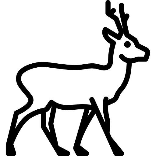 Chevreuil